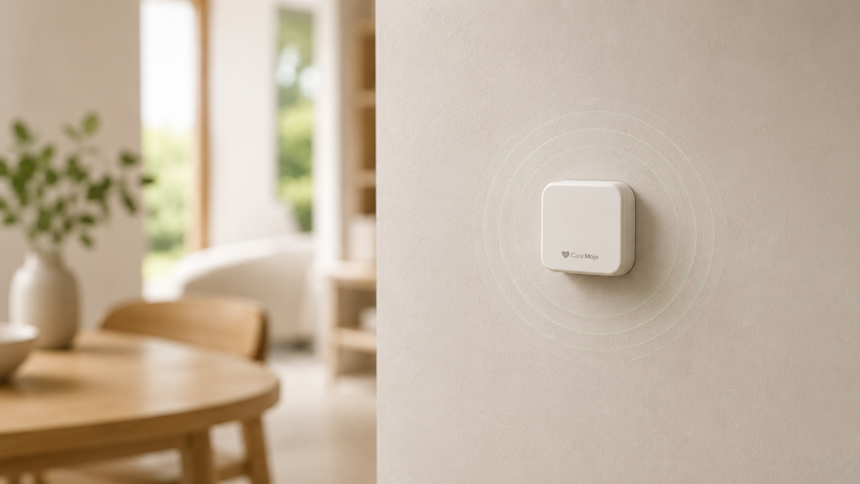 Care Mojo sensor kit — no cameras